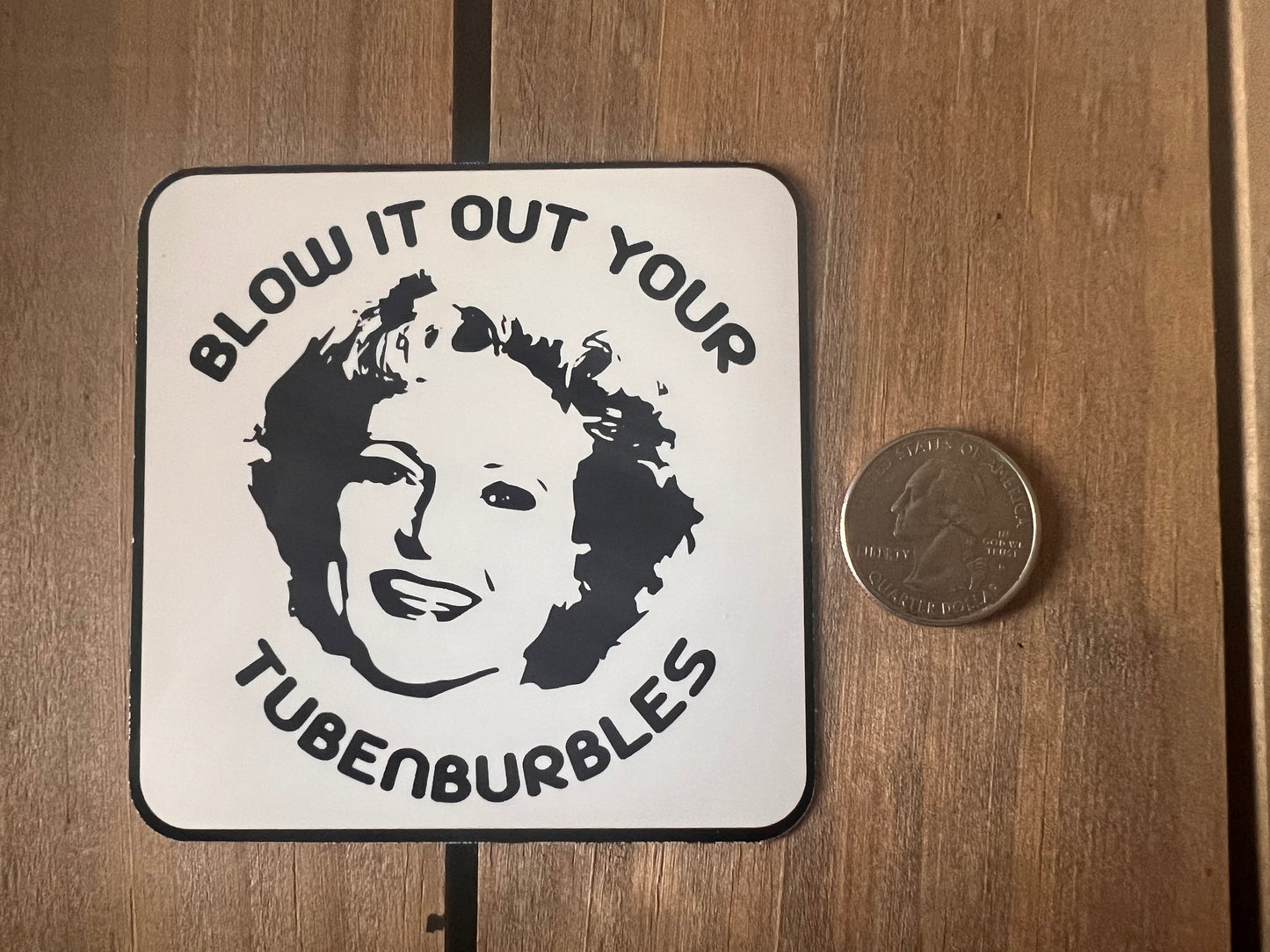 Golden Girls Stickers // Clear Sticker // Water Resistant